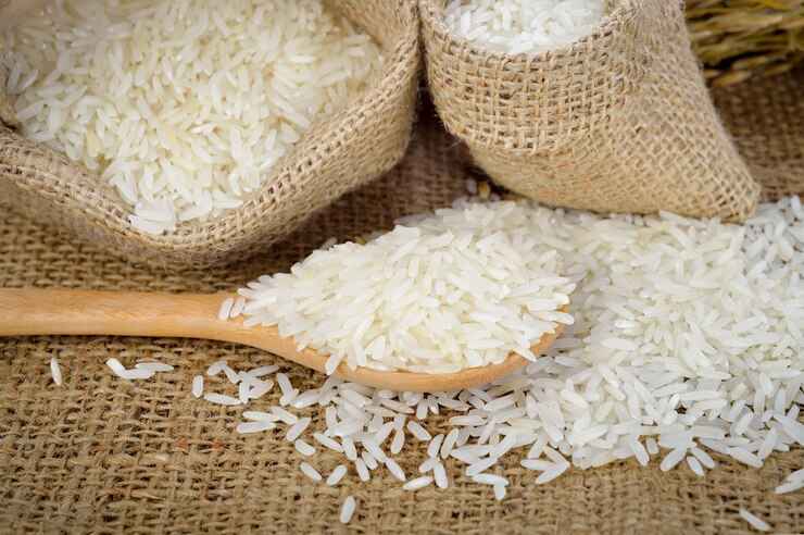 قیمت خرید برنج شمال در مشهد + فروش ویژه